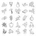 Different spices line icons set