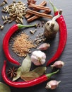 Different spices on rocked table. Royalty Free Stock Photo