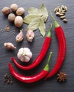 Different spices on rocked table. Royalty Free Stock Photo