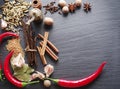 Different spices on rocked table. Royalty Free Stock Photo