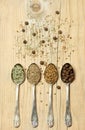 Different spices in silver spoons on wooden background Royalty Free Stock Photo