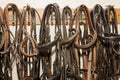 Set of different sports leather bridles with other special products