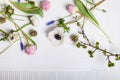 Different spring flowers on white wood and shutter