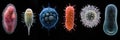 Evolution of bacteria displayed through various stages of development in a scientific context. Generative AI