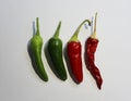 Different stages of pepper ripening