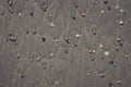 Different stones with stains on the wet sand Royalty Free Stock Photo