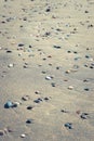 Different stones with stains on the wet sand Royalty Free Stock Photo