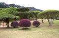 Landscapes in the Shimen Forest Park spring