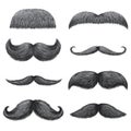 Different styles of male realistic mustaches set. Chevron, Dali, english, handlebar, imperial, lampshade, painter brush Royalty Free Stock Photo