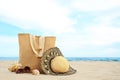 Different beach objects, coral and seashell on sand near sea. Space for text Royalty Free Stock Photo