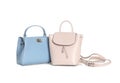 Different stylish woman`s bags isolated