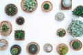 Different succulents and cactus in clay pots on light wooden background. Top view. Royalty Free Stock Photo