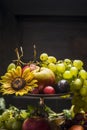 Different summer fruits in an iron bowl with a sunflower on a wooden background, close up