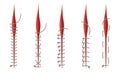 Different Surgical Stitches Isolated On White Background Vector Set Royalty Free Stock Photo