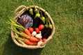 Different tasty vegetables in wicker basket on green grass outdoors, top view. Space for text Royalty Free Stock Photo
