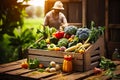 Different tasty vegetables in wooden crate on farm, harvesting concept