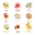 Different Tea Types Vector Set. Colorful Herbal Drinks Poured in Teacup