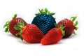 Different than the rest alone blue strawberry.Concept for genetically modified food Royalty Free Stock Photo