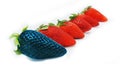 Different than the rest alone blue strawberry.Concept for genetically modified food Royalty Free Stock Photo