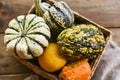 Different Thanksgiving Mini Pumpkins on a rustic wooden table. Thanksgiving concept. Autumn, Harvest wicker basket. Royalty Free Stock Photo