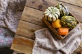 Different Thanksgiving Mini Pumpkins on a rustic wooden table. Thanksgiving concept. Autumn, Harvest wicker basket. Royalty Free Stock Photo