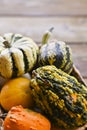 Different Thanksgiving Mini Pumpkins on a rustic wooden table. Thanksgiving concept. Autumn, Harvest wicker basket Royalty Free Stock Photo