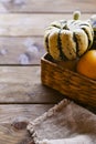 Different Thanksgiving Mini Pumpkins on a rustic wooden table. Thanksgiving concept. Autumn, Harvest wicker basket Royalty Free Stock Photo