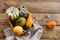 Different Thanksgiving Mini Pumpkins on a rustic wooden table. Thanksgiving concept. Autumn, Harvest wicker basket Royalty Free Stock Photo