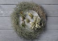 Different tillandsia plants on grey wooden table, flat lay. House decor Royalty Free Stock Photo