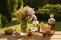 Different tinctures in bottles, ingredients, mortar and pestle on wooden table outdoors Royalty Free Stock Photo