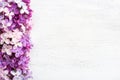 Different tiny flowers of Lilac on the white wooden shabby background. Floral border. Flat lay Royalty Free Stock Photo