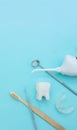 Different tools for dental care, toothbrush, dentist mirror, irrigator, removable braces, tooth mold and white tooth molar model Royalty Free Stock Photo