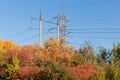 Different towers of overhead power lines over the autumn forest Royalty Free Stock Photo