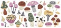 Different toxic fungus poisonous toadstool mushrooms isolated set in hand drawn doodle style Royalty Free Stock Photo