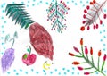 Different tree`s branches with snowflakes and fruits, child drawing