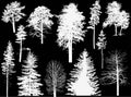 Different trees twelve silhouettes isolated on black