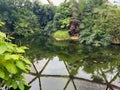 Different tropical plants near pond in greenhouse Royalty Free Stock Photo