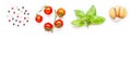 Different type of peppercorns, fresh cherry tomatoes, basil leaves and garlic  on white background Royalty Free Stock Photo