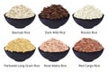 Different type of rice. Long grain, brown, white and other. Vector illustrations in cartoon style Royalty Free Stock Photo