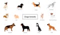 Different type of vector cartoon dogs. Royalty Free Stock Photo