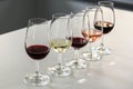 Different type of wines ready for wine tasting. Royalty Free Stock Photo