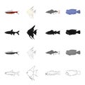 Different types of aquarium and marine fish related icon set