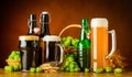 Different Types of Beer and Brewing Ingredients Royalty Free Stock Photo