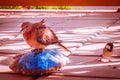 Different types of birds photo, dove, male sparrow, female pigeon, yellow nacked robin, rock pigeon Dove, middle eastern desert