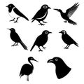 Different Types Of Birds Vector Illustration Royalty Free Stock Photo