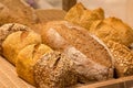 Different types of bread Royalty Free Stock Photo