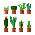 Set of cactus plants with spines in brown pots isolated on a white background. Flowering houseplant. Vector illustration Royalty Free Stock Photo