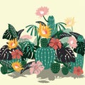 Different types of cactus plants vector