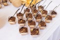 Different types of canapes on buffet table. Royalty Free Stock Photo