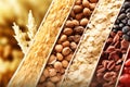 Different types of cereal and beans that have a variety of nutritional benefits. Natural food products. Harvest